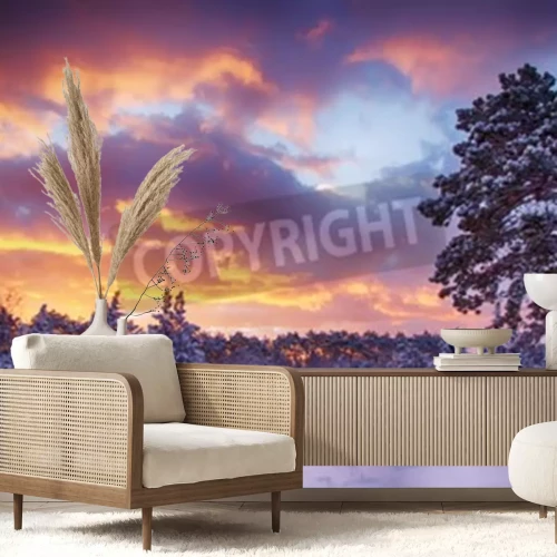 Papier peint  Lever de soleil et forêt dans la neige