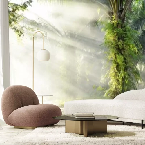 Papier peint  Matin ensoleillé dans la forêt tropicale avec des palmiers