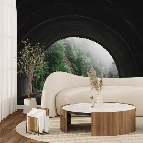 Papier peint  Tunnel et foret dans la brume