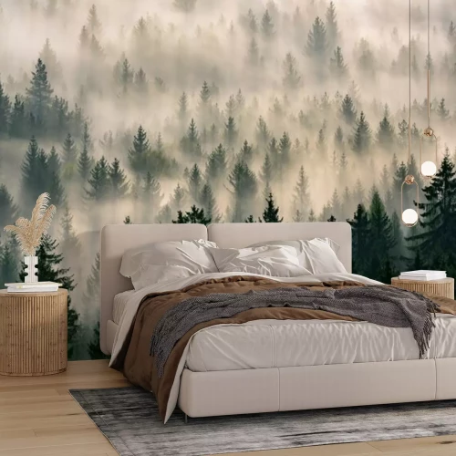 Papier peint  La forêt derrière le brouillard