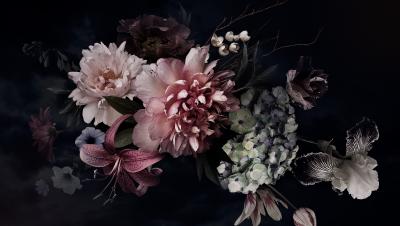 Papier peint  Peonies, hydrangea, lily, iris and tulips in bloom. Vintage bouquet of beautiful garden flowers on black. Floristic decoration. Floral background. Baroque style.